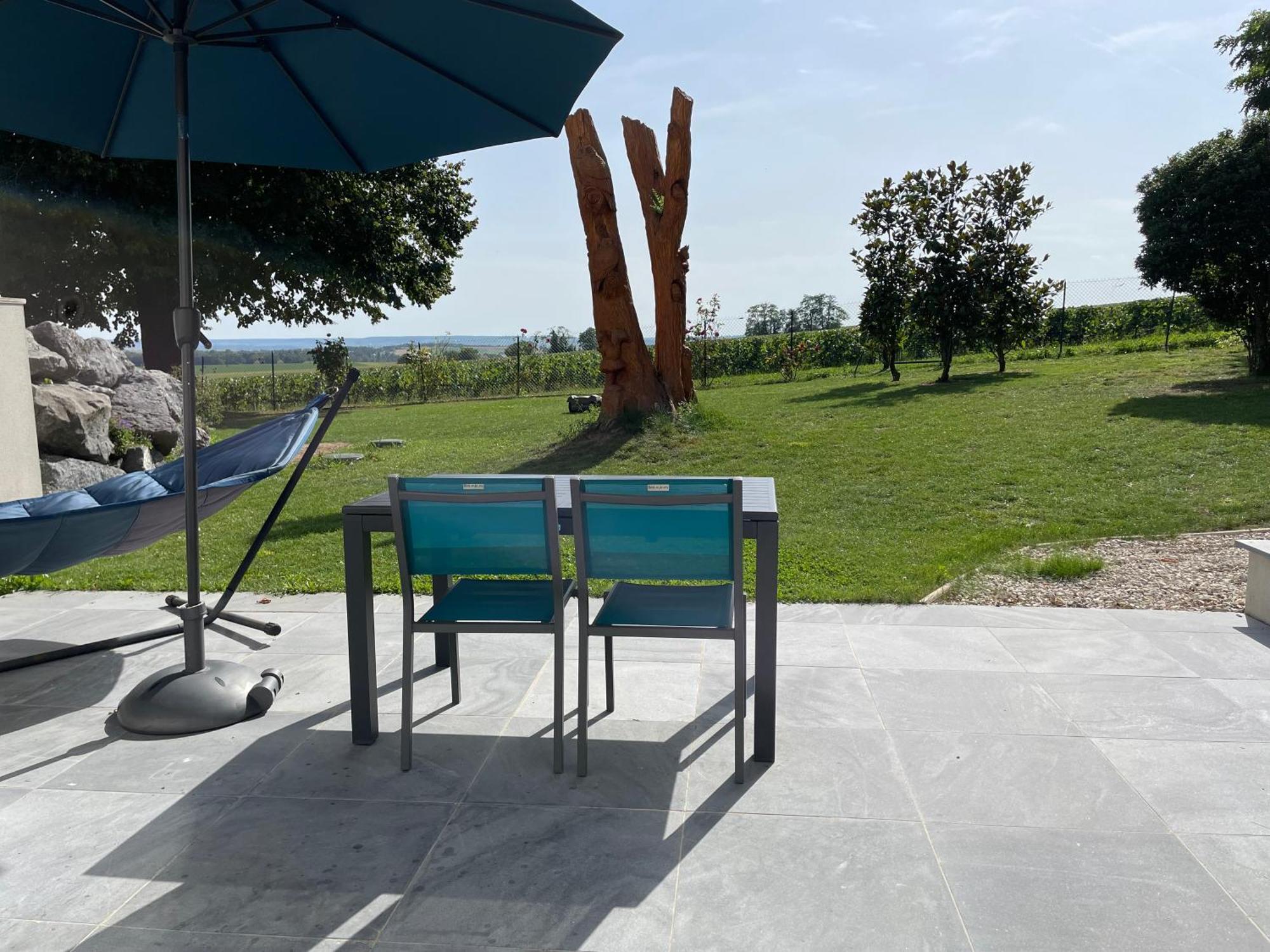 Best View, Pool And Spa On The Champagne Vineyard Saint-Thierry Exterior foto